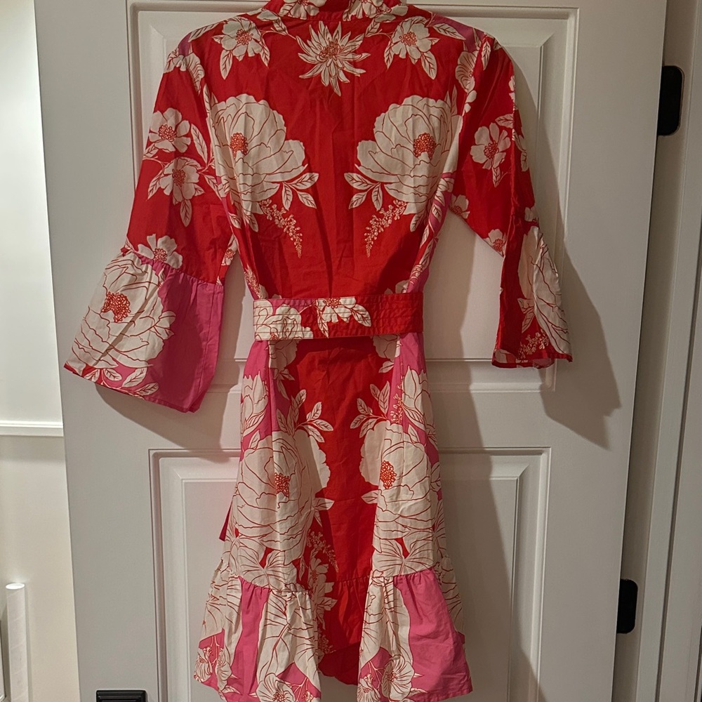 FARM Rio Floral Mini Dress in Red and Pink - Picture 4 of 4